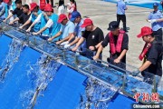 抽签算命2025年全国水生生物同步增殖放流活动在福建举行
